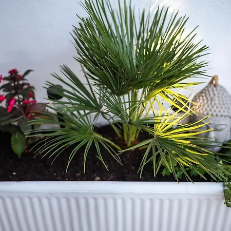 Private House With Garden Near The Bacvice Beach - Ksenia * Split
