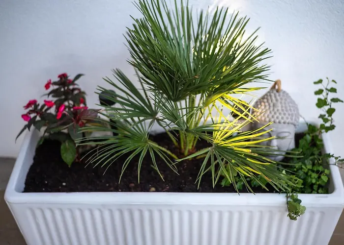 Private House With Garden Near The Bacvice Beach - Ksenia * Split