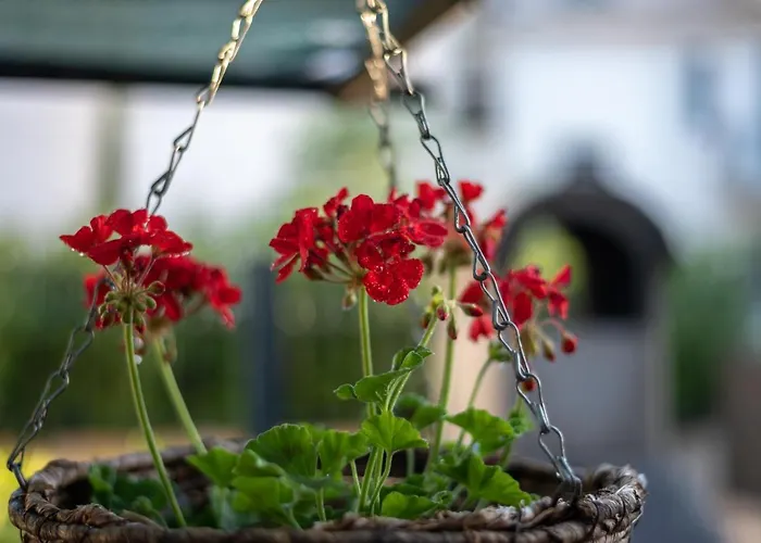 Apartment Private House With Garden Near The Bacvice Beach - Ksenia Split