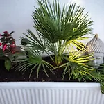 Private House With Garden Near The Bacvice Beach - Ksenia * Split