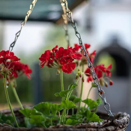 Διαμέρισμα Private House With Garden Near The Bacvice - Ksenia Σπλιτ